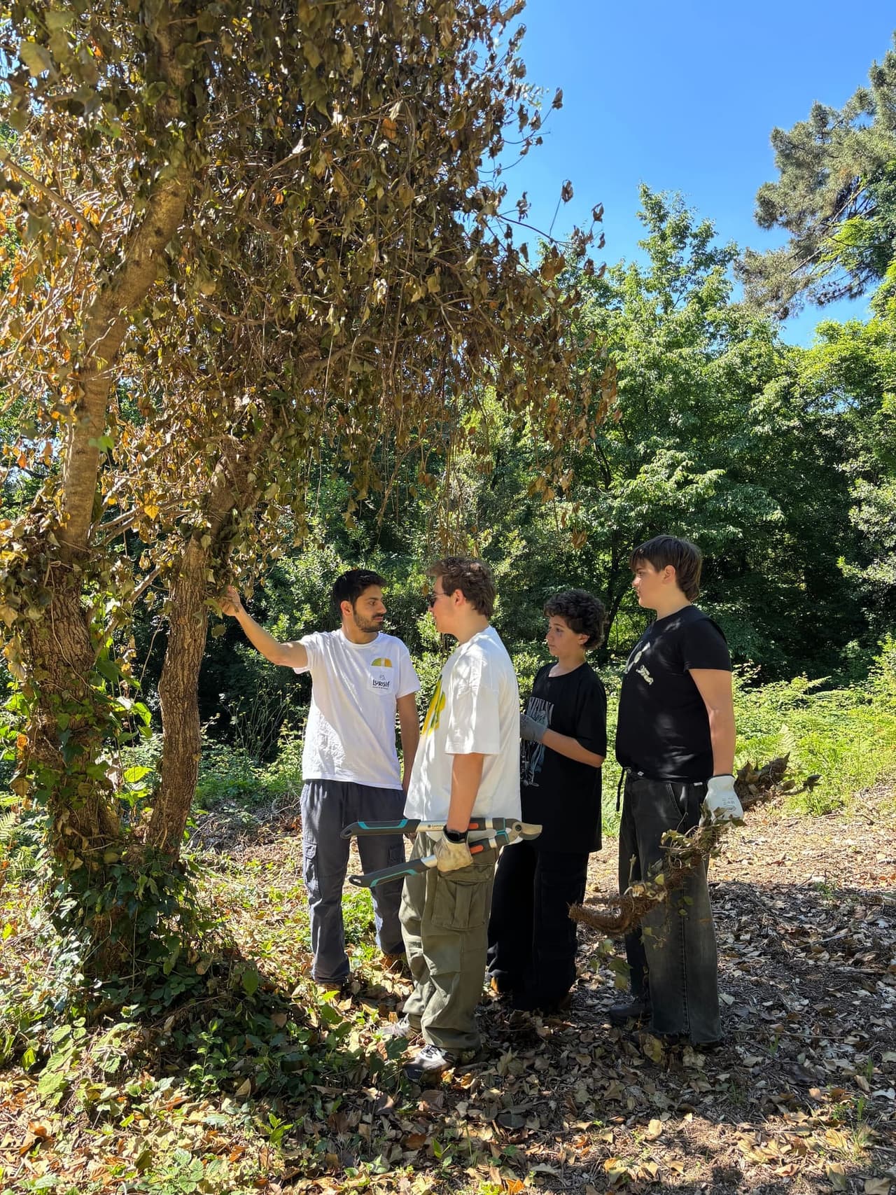 Visitors participating in a guided forest education session
